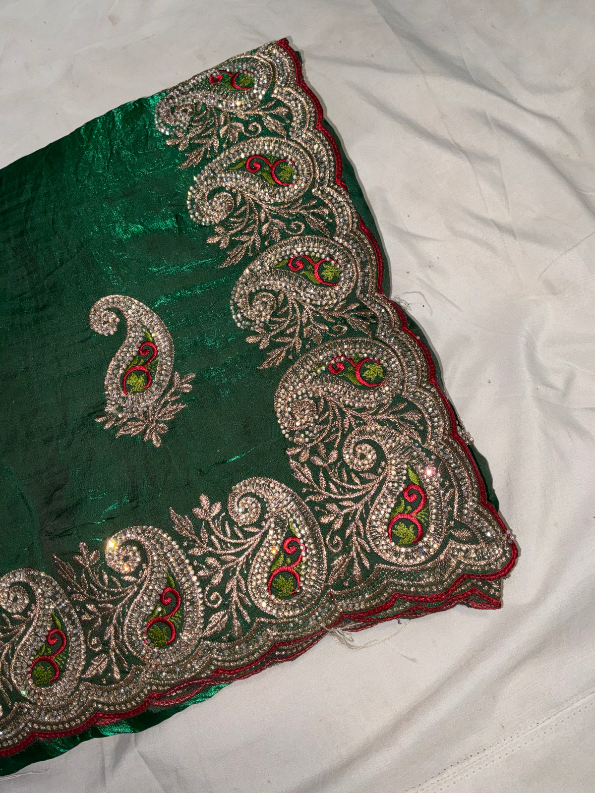 Classic Silk Blend Saree with Heavy Zardozi Paisley Cutwork Border